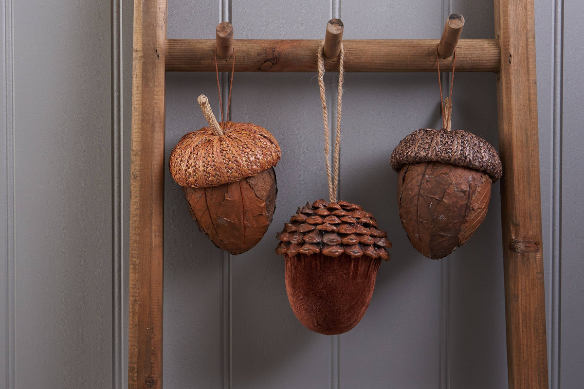 Dark Brown Leaf Acorn
