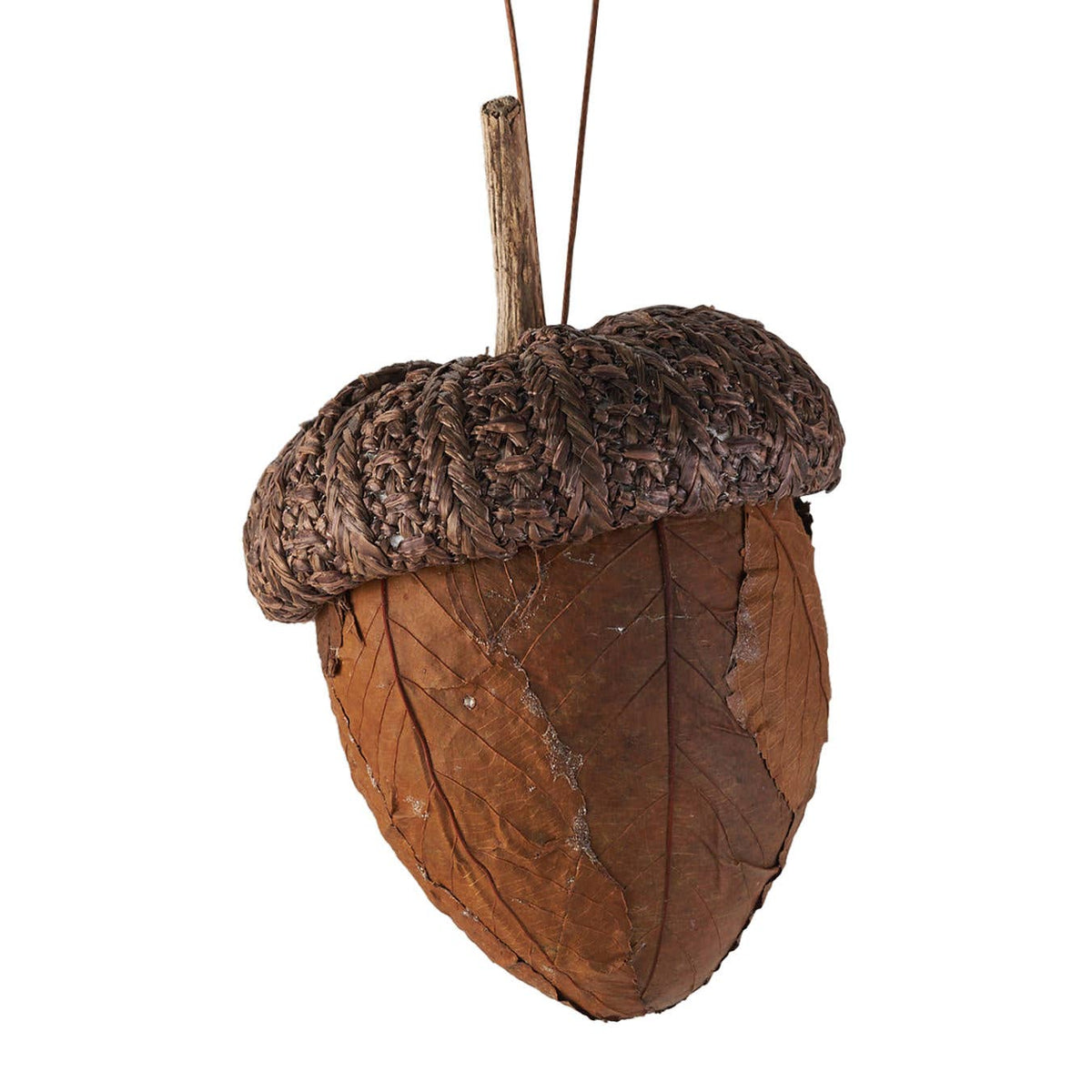Dark Brown Leaf Acorn