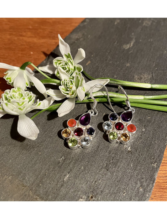 Chakra Stones Circle Earrings