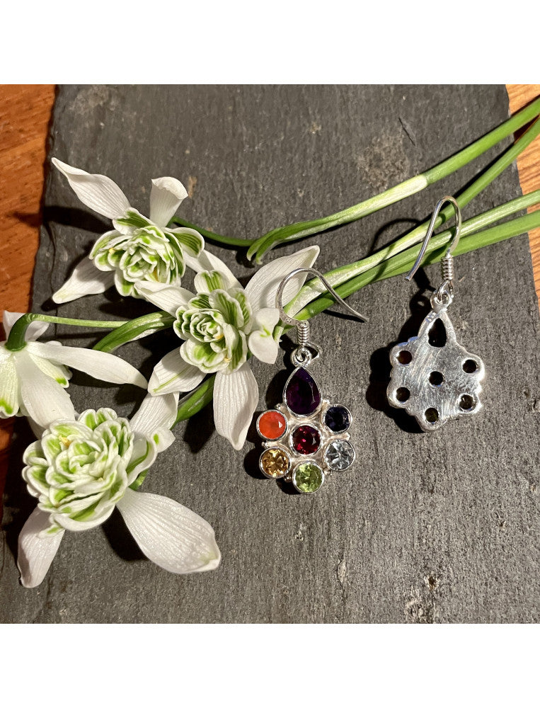 Chakra Stones Circle Earrings