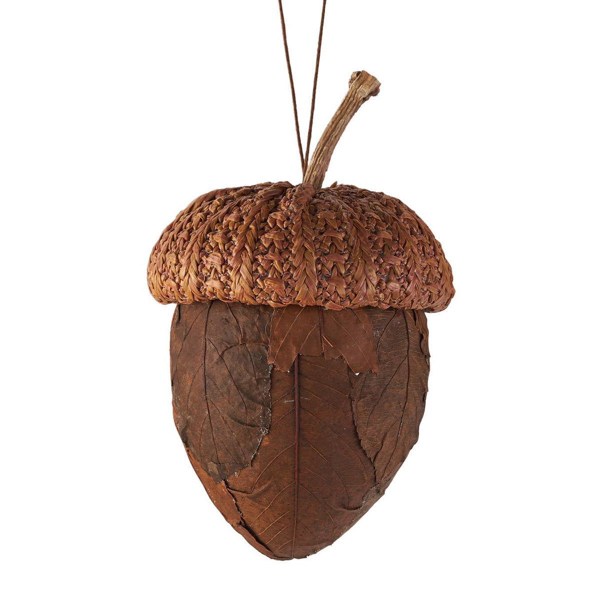 Light Brown Leaf Acorn