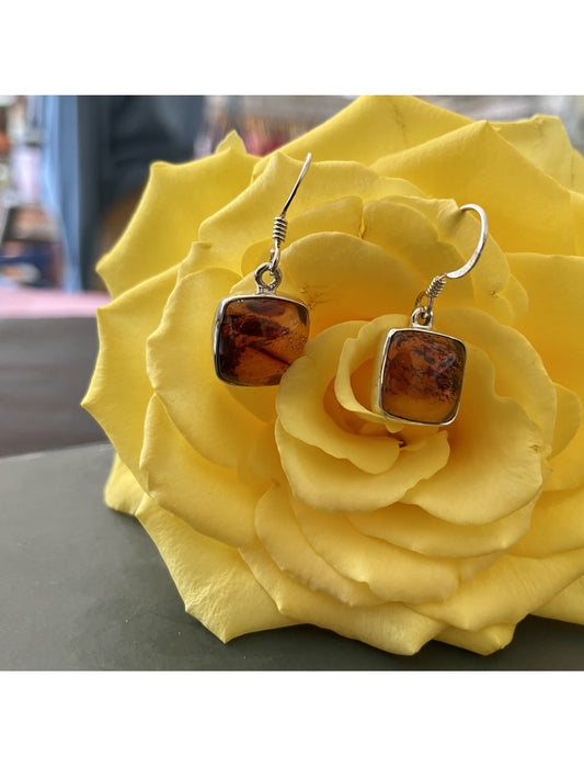 Square Golden Amber and Silver Earrings